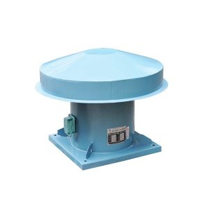 Quạt hút gió gắn mái (1)