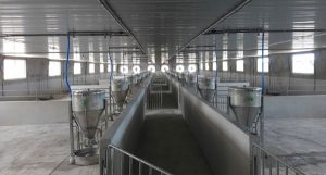 He Thong Thong Gio Chuong Trai 1