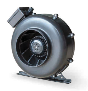 Quạt nối ống thường