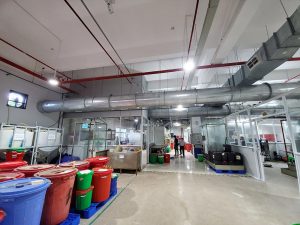 Du An Pnj Trangiame (5)