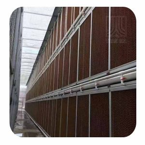 He Thong Lam Mat Nha Xuong Bang Tam Cooling Pad 1